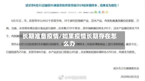 长期准备疫情/如果疫情长期存在怎么办