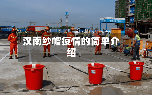 汉南纱帽疫情的简单介绍