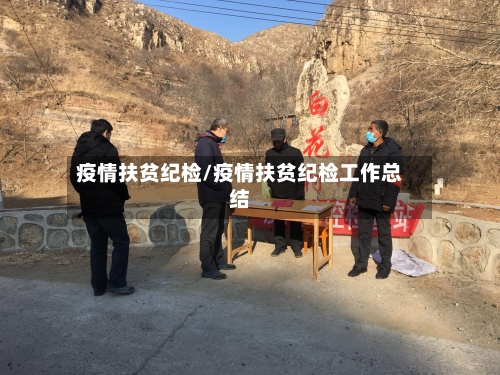 疫情扶贫纪检/疫情扶贫纪检工作总结