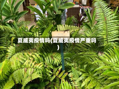 夏威夷疫情吗(夏威夷疫情严重吗)