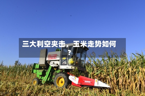 三大利空夹击，玉米走势如何？-第3张图片