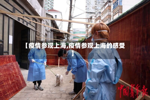 【疫情参观上海,疫情参观上海的感受】