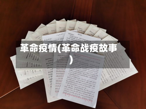 革命疫情(革命战疫故事)-第2张图片