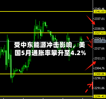 受中东能源冲击影响，美国5月通胀率攀升至4.2%
