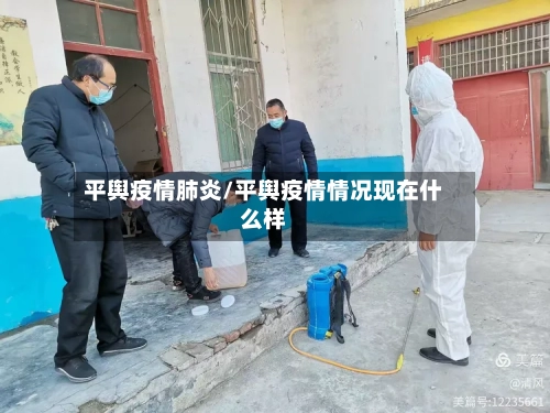 平舆疫情肺炎/平舆疫情情况现在什么样