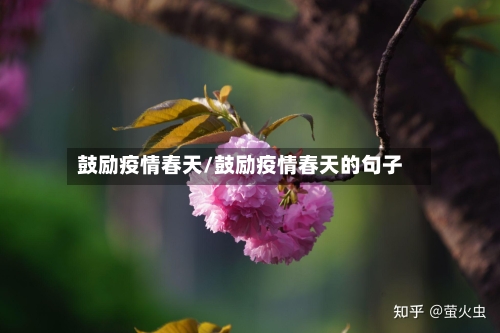 鼓励疫情春天/鼓励疫情春天的句子-第3张图片