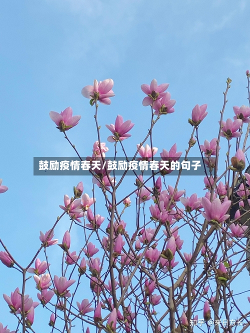 鼓励疫情春天/鼓励疫情春天的句子