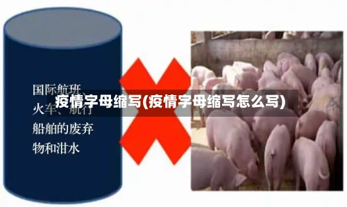 疫情字母缩写(疫情字母缩写怎么写)