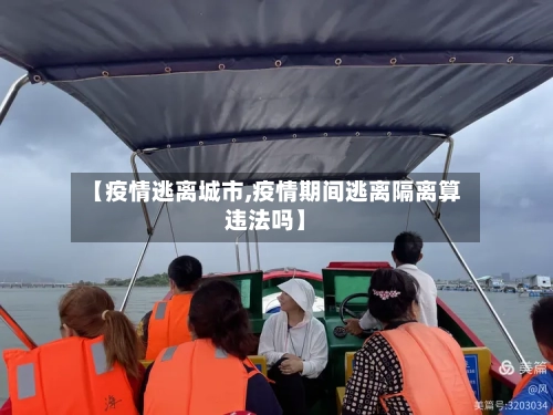 【疫情逃离城市,疫情期间逃离隔离算违法吗】-第3张图片