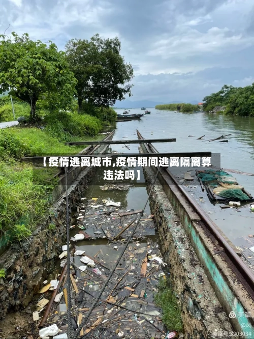 【疫情逃离城市,疫情期间逃离隔离算违法吗】-第2张图片