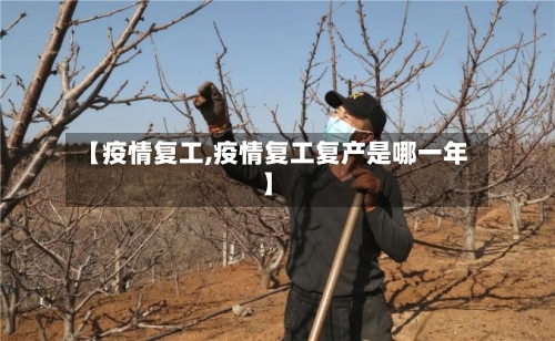 【疫情复工,疫情复工复产是哪一年】-第3张图片