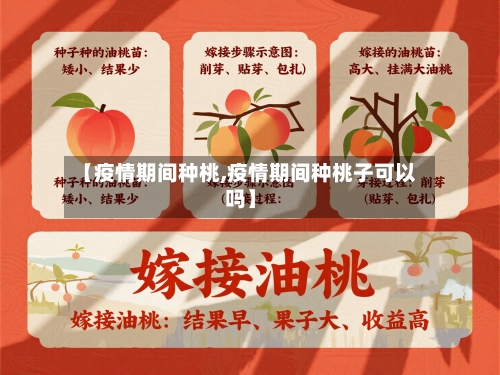 【疫情期间种桃,疫情期间种桃子可以吗】-第2张图片