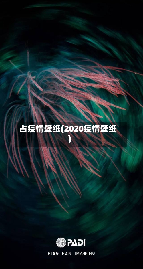 占疫情壁纸(2020疫情壁纸)