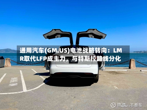 通用汽车(GM.US)电池战略转向：LMR取代LFP成主力	，与特斯拉路线分化-第3张图片