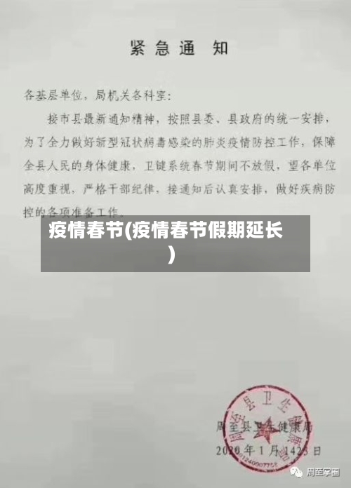 疫情春节(疫情春节假期延长)-第2张图片
