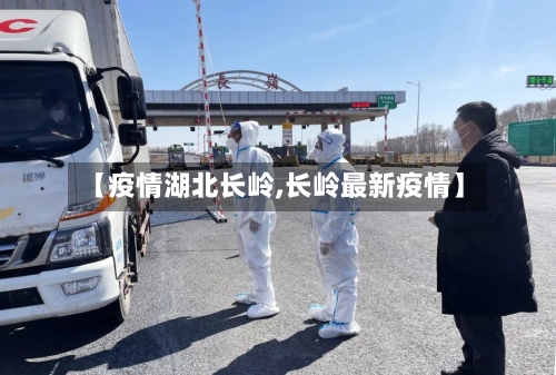 【疫情湖北长岭,长岭最新疫情】-第3张图片