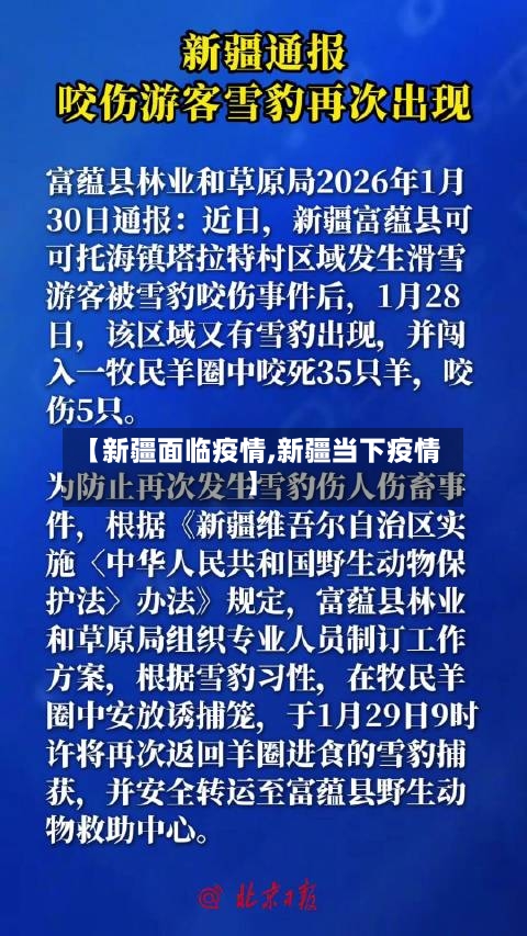 【新疆面临疫情,新疆当下疫情】