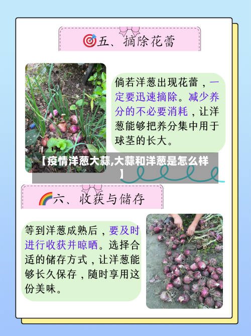 【疫情洋葱大蒜,大蒜和洋葱是怎么样】-第2张图片