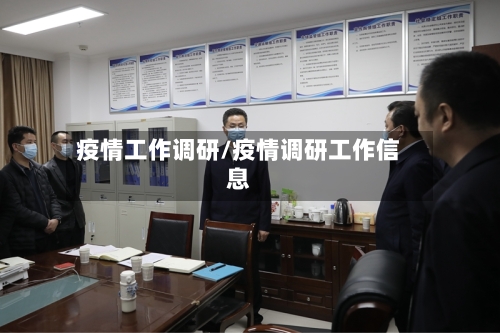 疫情工作调研/疫情调研工作信息-第2张图片