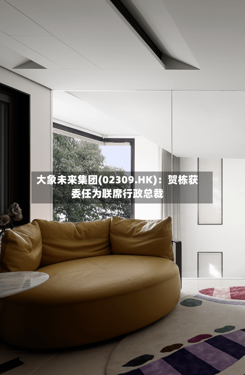 大象未来集团(02309.HK)：贺栋获委任为联席行政总裁