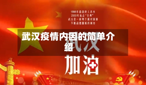 武汉疫情内因的简单介绍-第2张图片