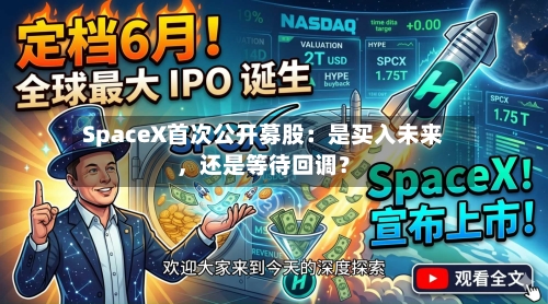 SpaceX首次公开募股：是买入未来	，还是等待回调？-第3张图片