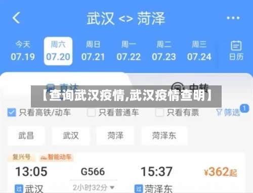 【查询武汉疫情,武汉疫情查明】-第3张图片
