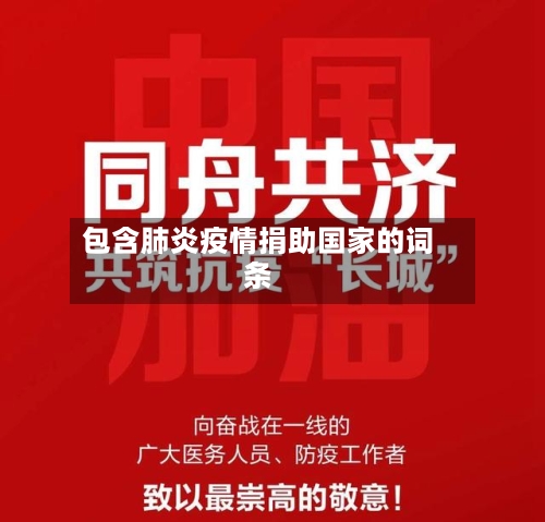 包含肺炎疫情捐助国家的词条-第2张图片