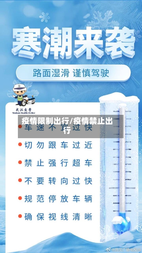 疫情限制出行/疫情禁止出行