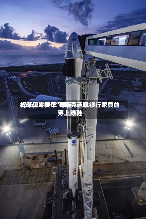 SpaceX IPO“绿鞋	”选取权罕见零费率 马斯克还让银行家真的穿上绿鞋-第2张图片