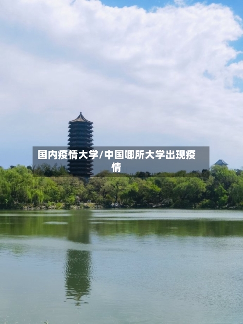 国内疫情大学/中国哪所大学出现疫情-第3张图片