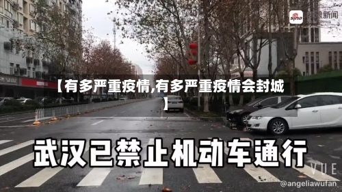 【有多严重疫情,有多严重疫情会封城】-第3张图片