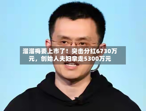 溜溜梅要上市了！突击分红6730万元，创始人夫妇拿走5300万元-第2张图片