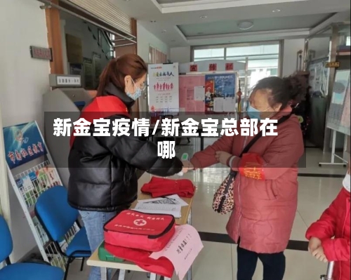 新金宝疫情/新金宝总部在哪