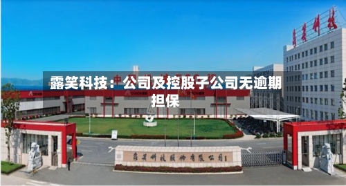 露笑科技：公司及控股子公司无逾期担保