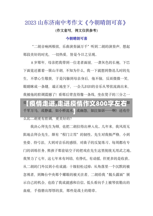 【疫情走进,走进疫情作文800字左右】