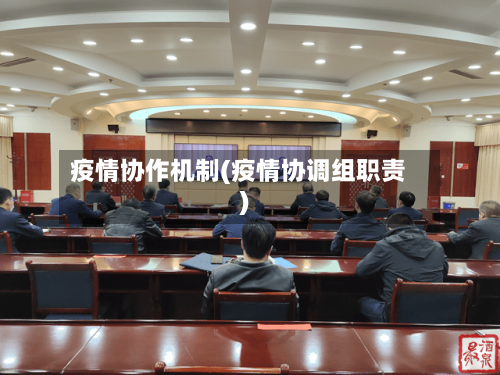 疫情协作机制(疫情协调组职责)-第2张图片