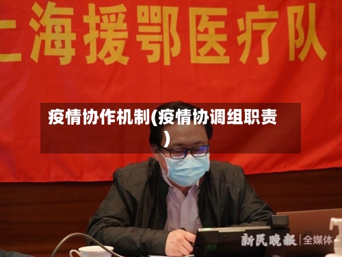疫情协作机制(疫情协调组职责)