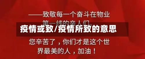 疫情或致/疫情所致的意思-第2张图片