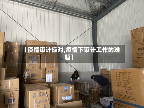 【疫情审计应对,疫情下审计工作的难题】-第2张图片