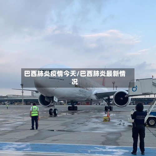 巴西肺炎疫情今天/巴西肺炎最新情况-第2张图片