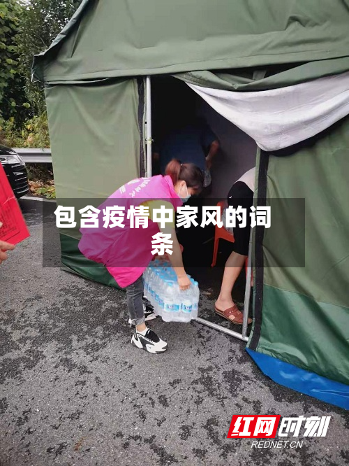 包含疫情中家风的词条