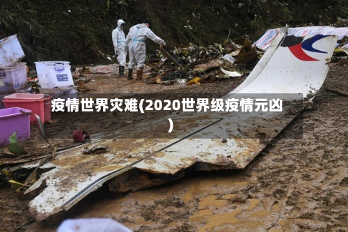 疫情世界灾难(2020世界级疫情元凶)-第2张图片