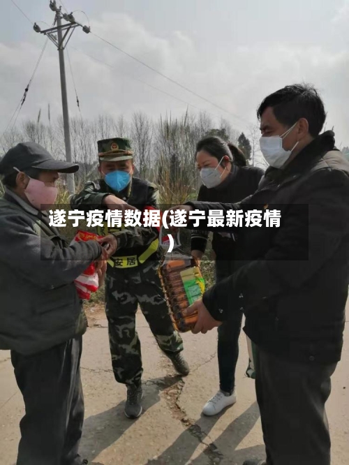 遂宁疫情数据(遂宁最新疫情)-第2张图片