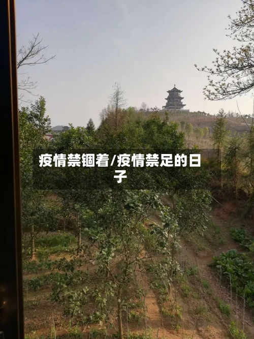 疫情禁锢着/疫情禁足的日子-第3张图片