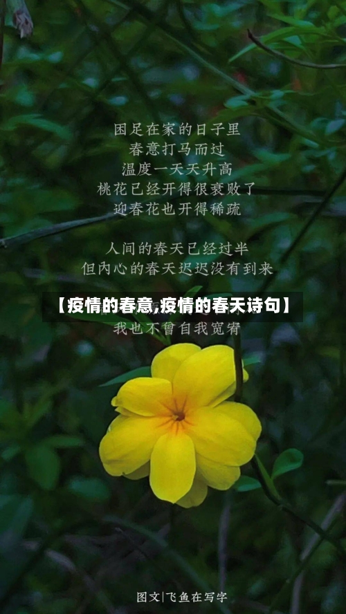 【疫情的春意,疫情的春天诗句】-第3张图片