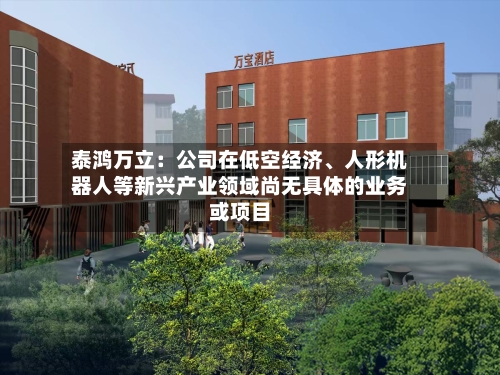 泰鸿万立：公司在低空经济、人形机器人等新兴产业领域尚无具体的业务或项目