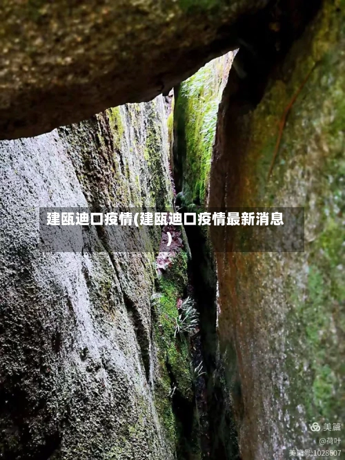 建瓯迪口疫情(建瓯迪口疫情最新消息)