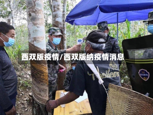 西双版疫情/西双版纳疫情消息-第3张图片