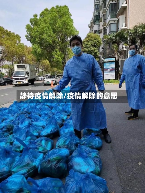 静待疫情解除/疫情解除的意思-第2张图片